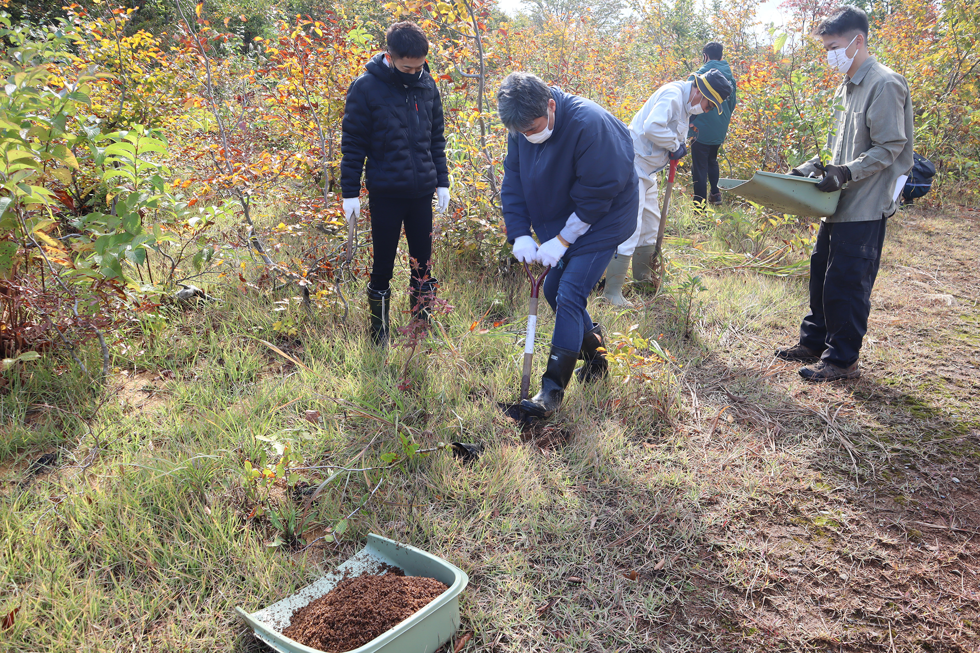 八方台の森育樹・植樹活動